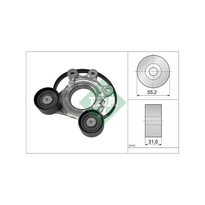 Tendicinghia trapezoidale - INA