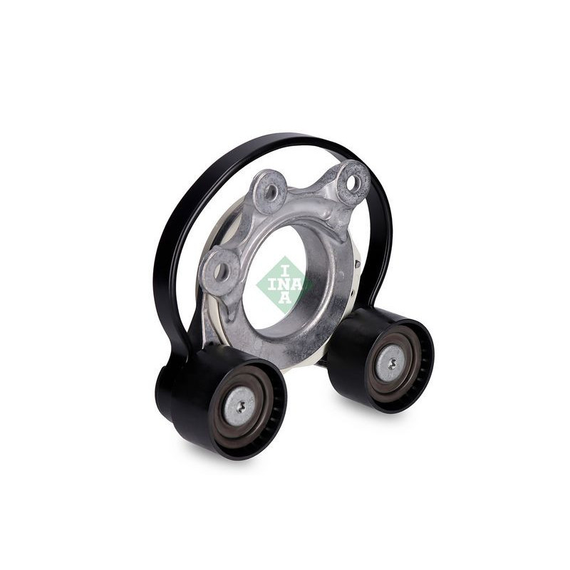 Tendicinghia trapezoidale - INA