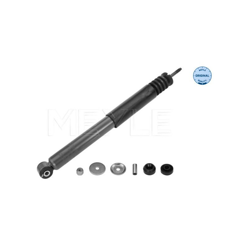 Ammortizzatore asse posteriore - MEYLE