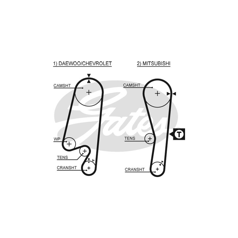 Cinghia/catena distribuzione - GATES