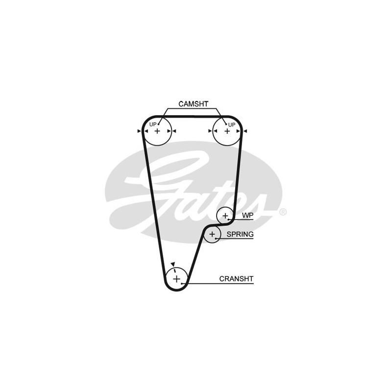 Cinghia/catena distribuzione - GATES