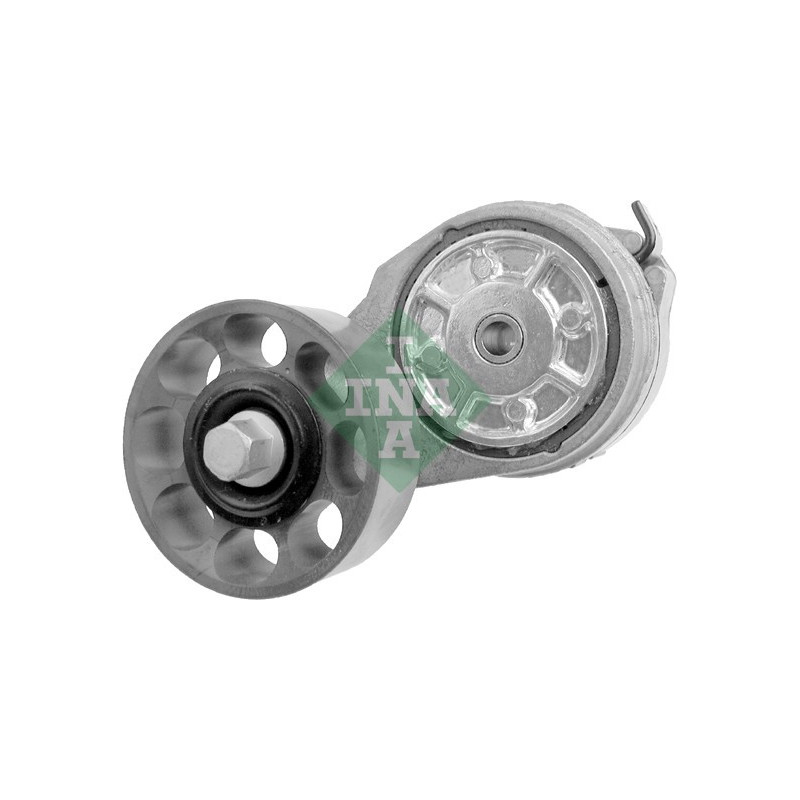 Tendicinghia trapezoidale - INA