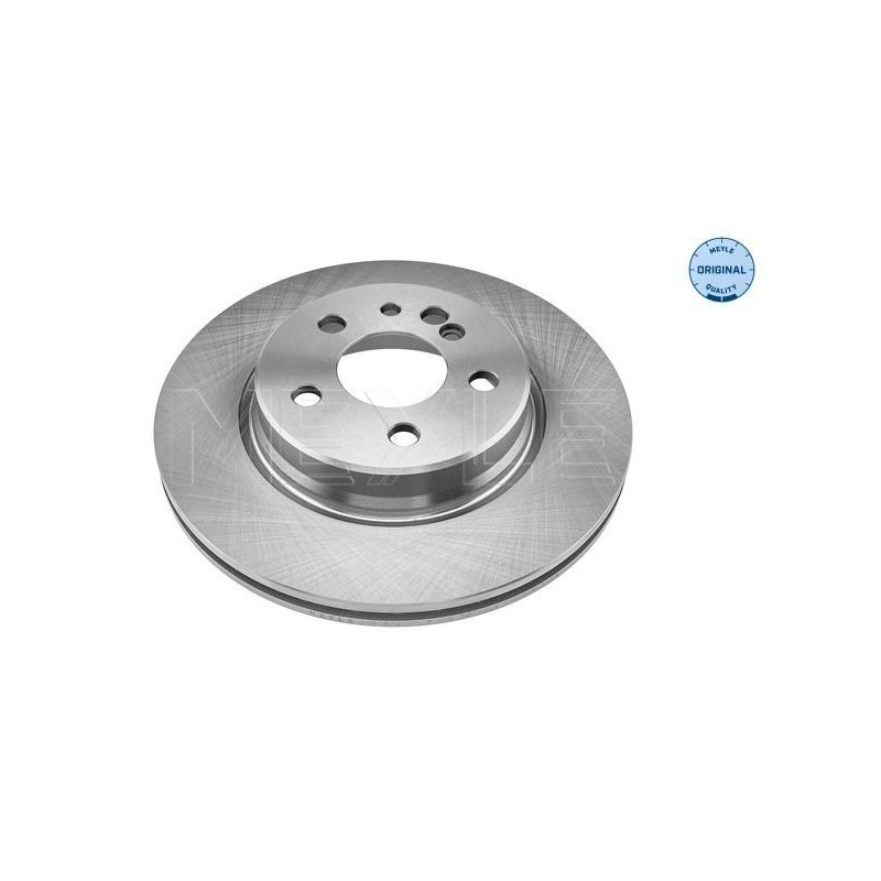 Disco freno asse posteriore - MEYLE