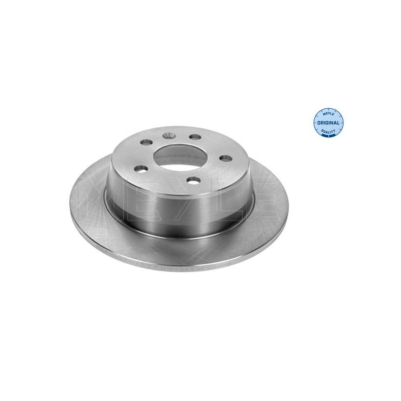 Disco freno asse posteriore - MEYLE