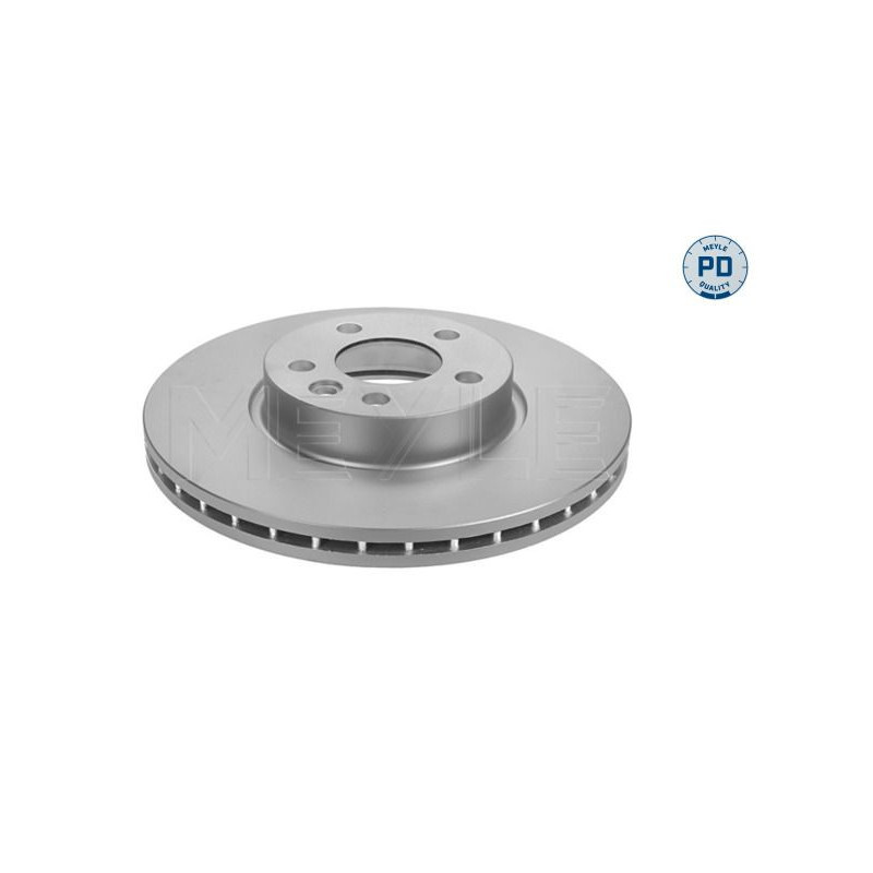 Disco freno asse anteriore - MEYLE