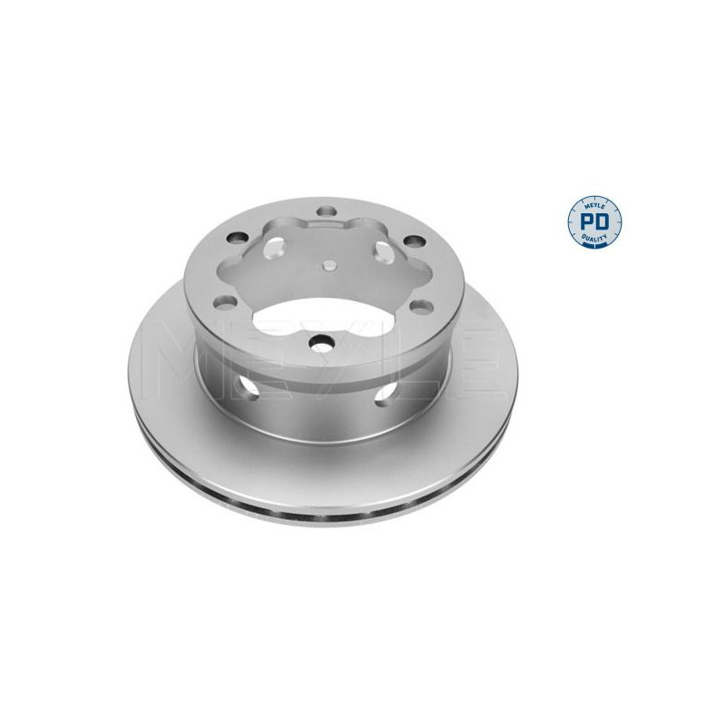 Disco freno asse posteriore - MEYLE