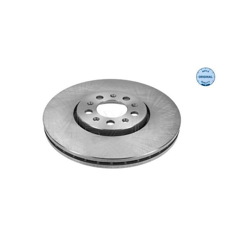 Disco freno asse anteriore - MEYLE