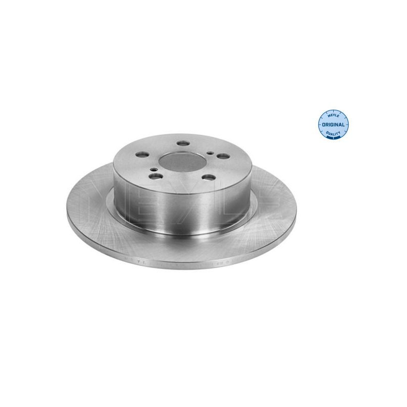 Disco freno asse posteriore - MEYLE