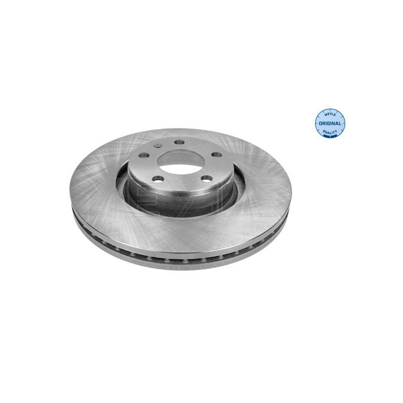 Disco freno asse anteriore - MEYLE