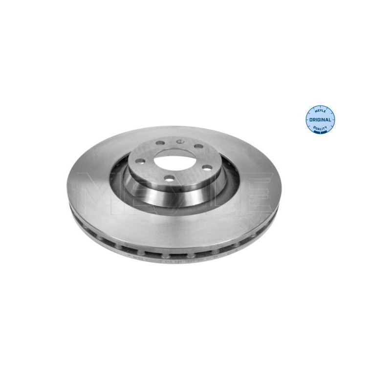 Disco freno asse anteriore - MEYLE