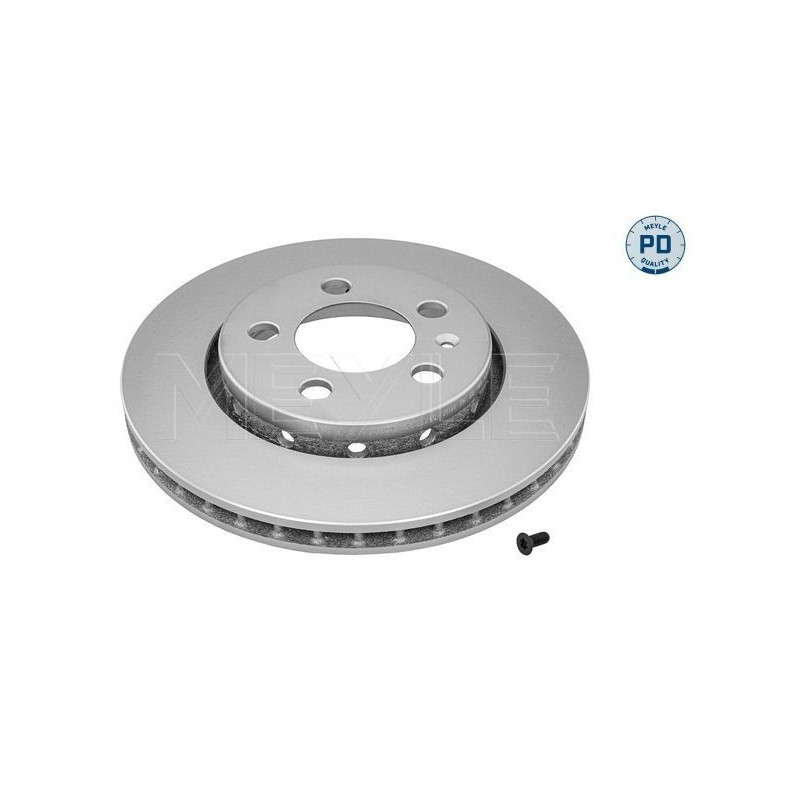 Disco freno asse posteriore - MEYLE
