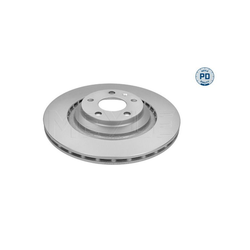 Disco freno asse posteriore - MEYLE