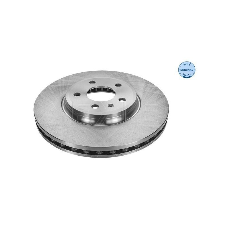 Disco freno asse anteriore - MEYLE
