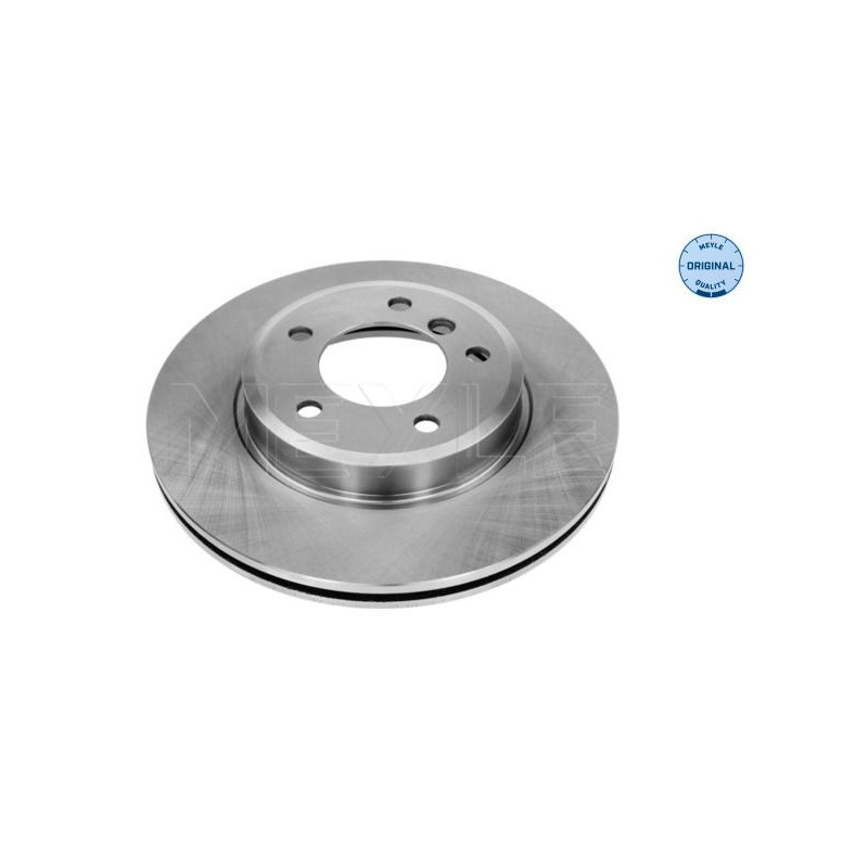 Disco freno asse anteriore - MEYLE