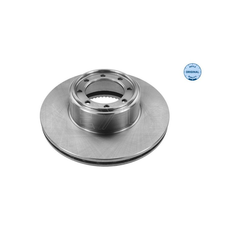 Disco freno asse posteriore - MEYLE