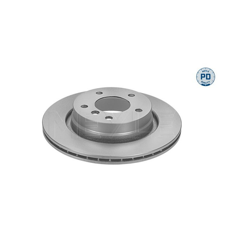 Disco freno asse posteriore - MEYLE