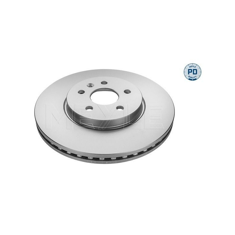 Disco freno asse anteriore - MEYLE