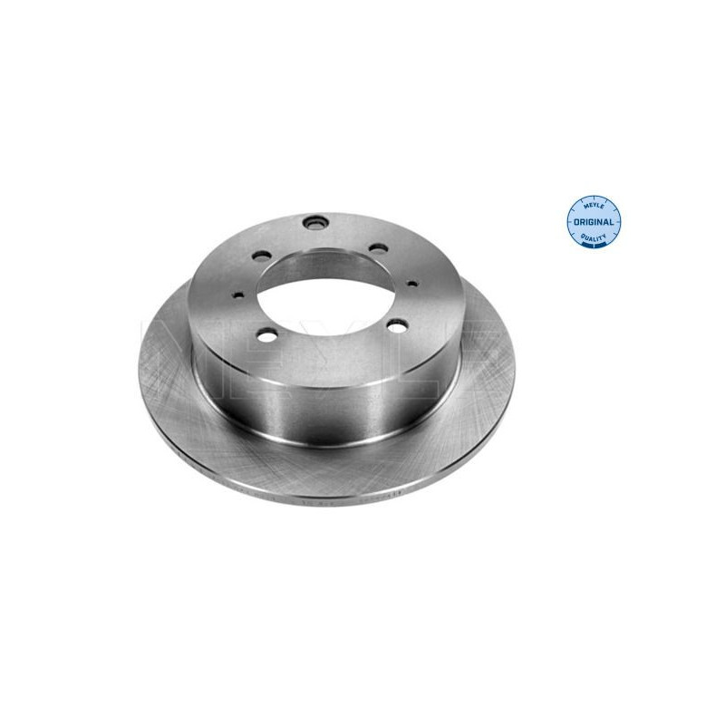 Disco freno asse posteriore - MEYLE
