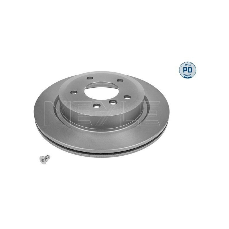 Disco freno asse posteriore - MEYLE