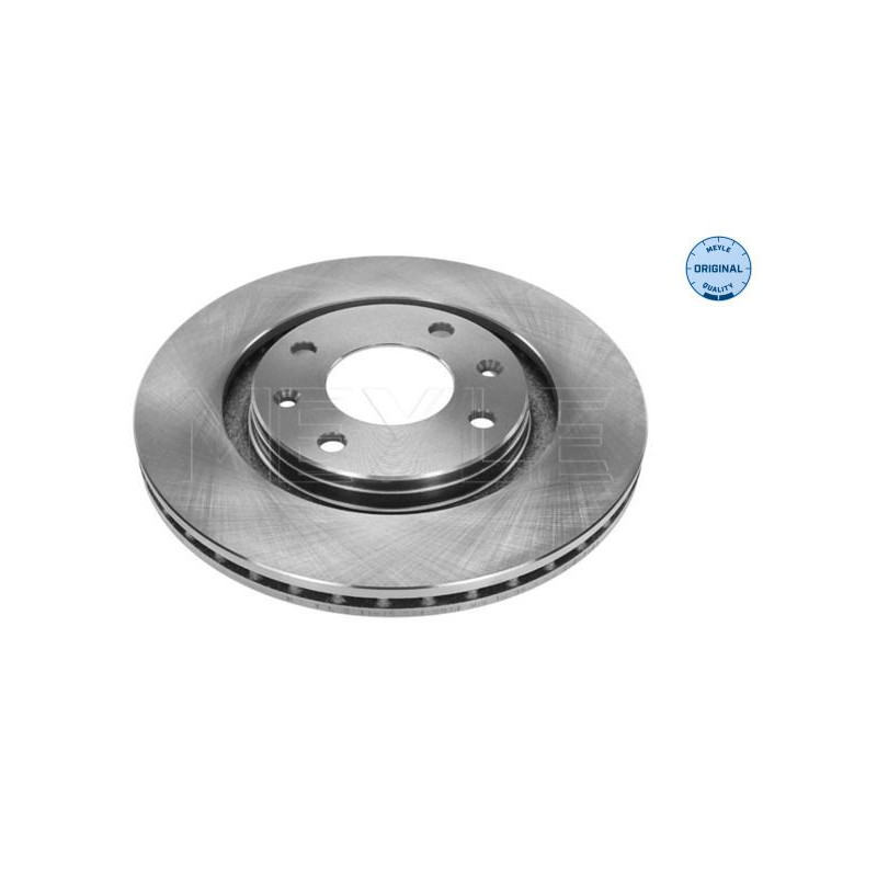 Disco freno asse anteriore - MEYLE