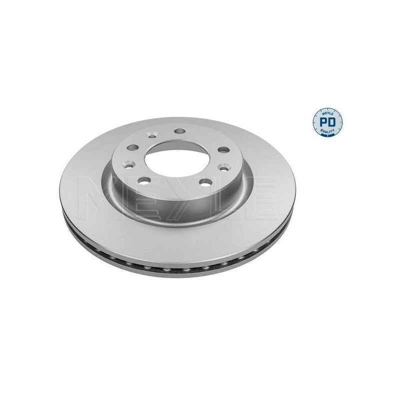 Disco freno asse anteriore - MEYLE