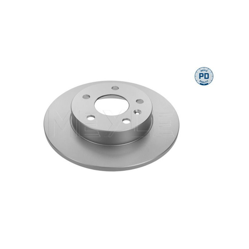 Disco freno asse posteriore - MEYLE
