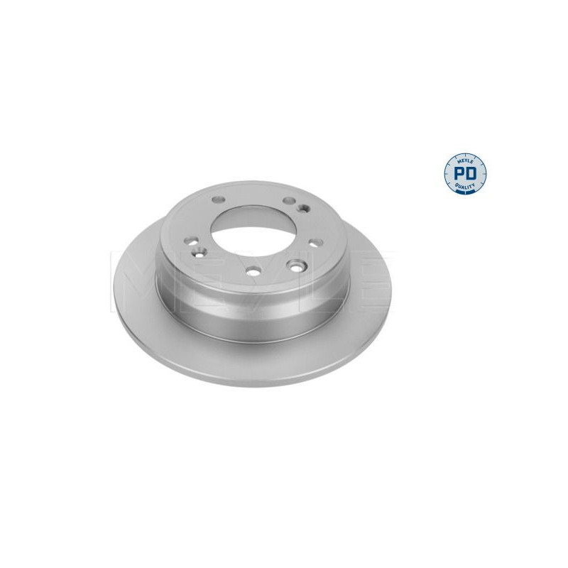 Disco freno asse posteriore - MEYLE