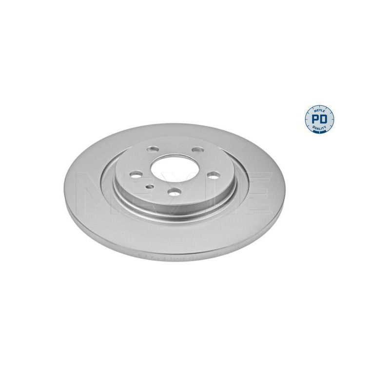 Disco freno asse posteriore - MEYLE