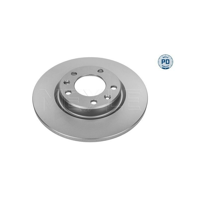 Disco freno asse posteriore - MEYLE