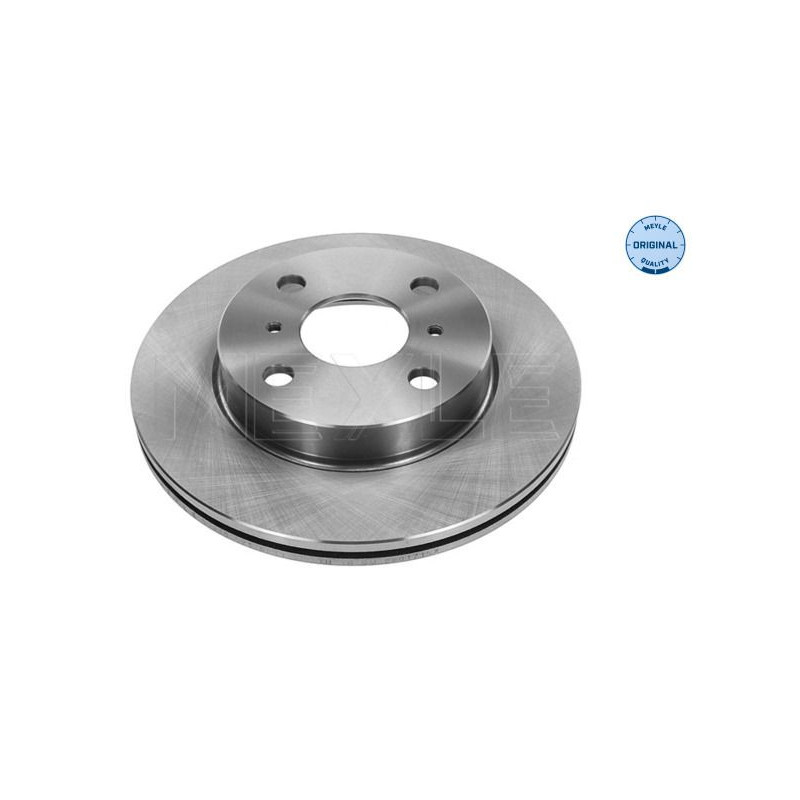 Disco freno asse posteriore - MEYLE