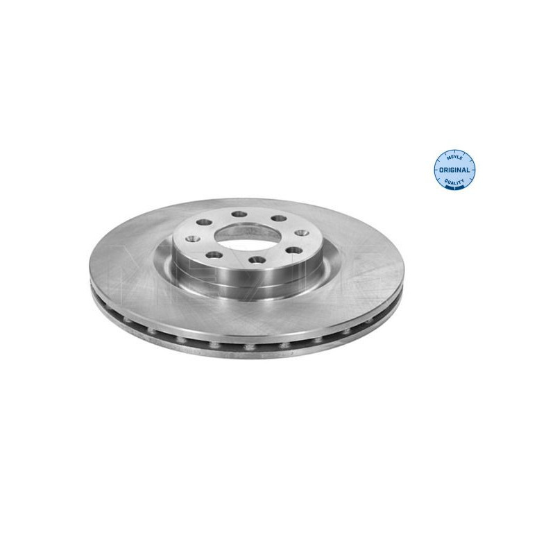 Disco freno asse anteriore - MEYLE