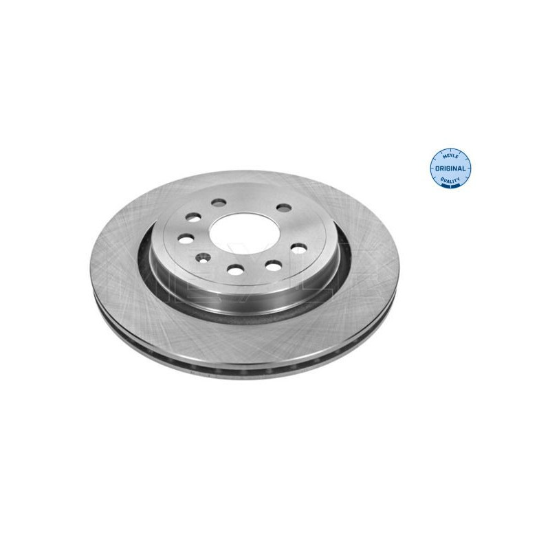 Disco freno asse posteriore - MEYLE