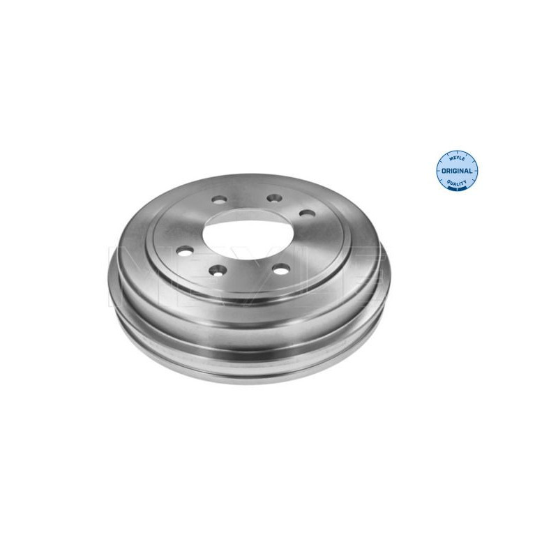 Disco freno asse posteriore - MEYLE