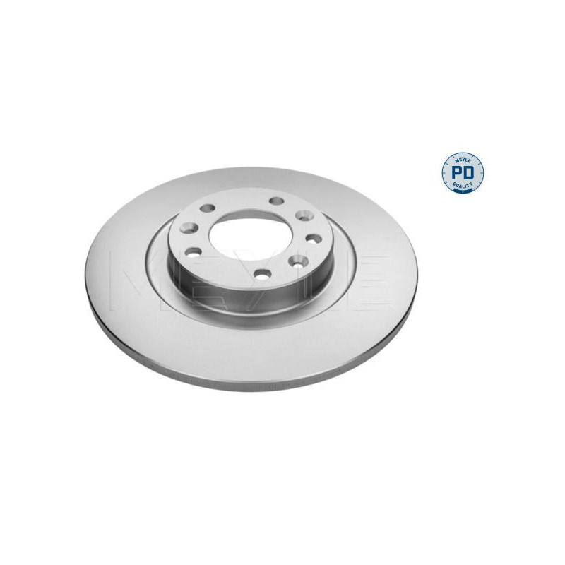 Disco freno asse posteriore - MEYLE