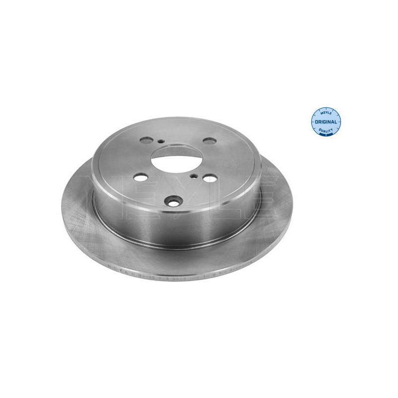 Disco freno asse posteriore - MEYLE