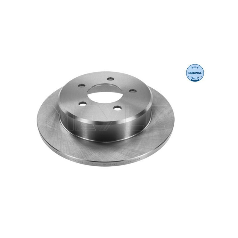 Disco freno asse posteriore - MEYLE