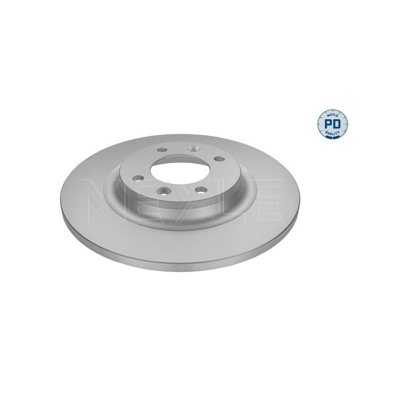 Disco freno asse posteriore - MEYLE