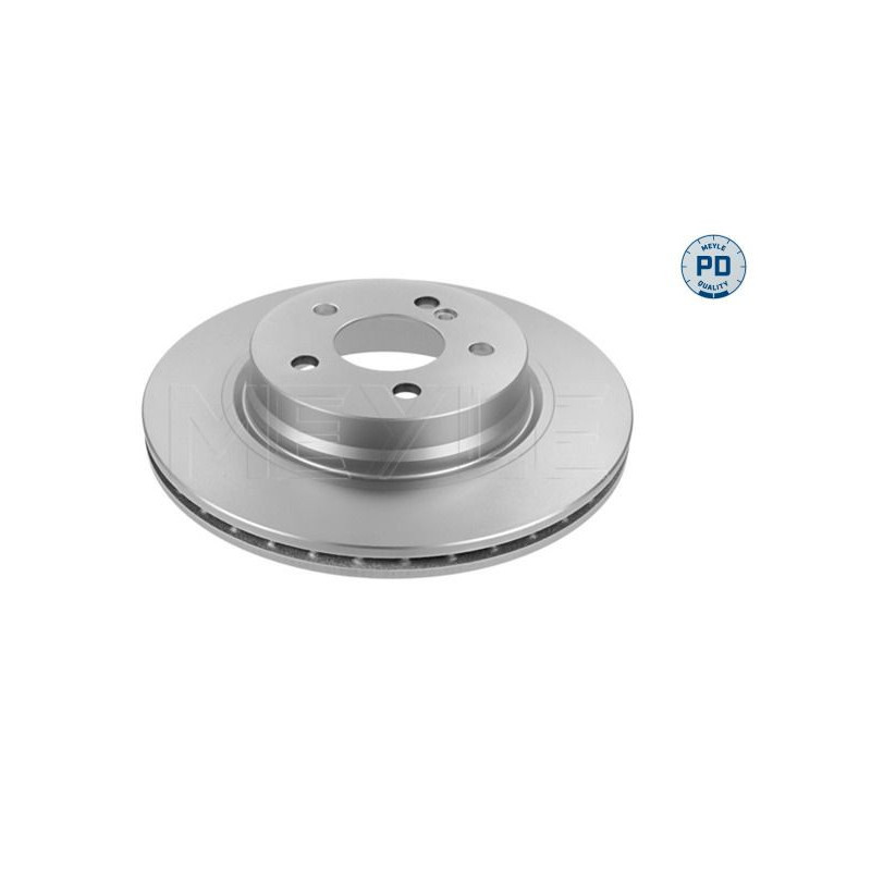Disco freno asse posteriore - MEYLE