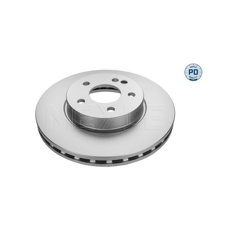 Disco freno asse anteriore - MEYLE