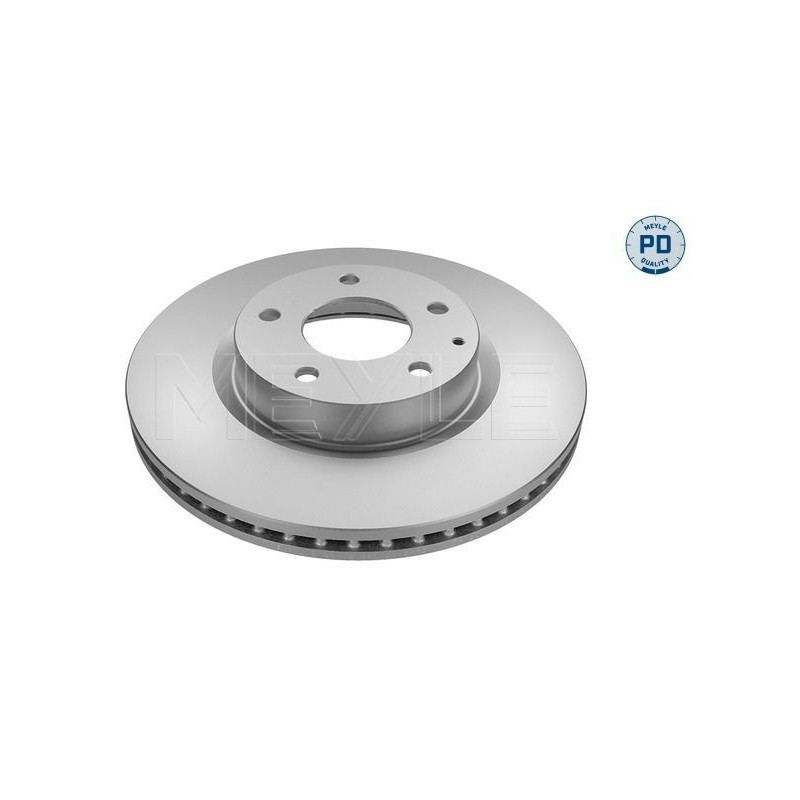 Disco freno asse anteriore - MEYLE