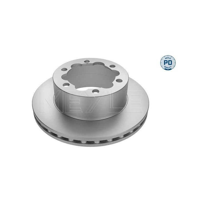 Disco freno asse posteriore - MEYLE