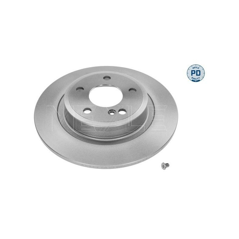 Disco freno asse posteriore - MEYLE