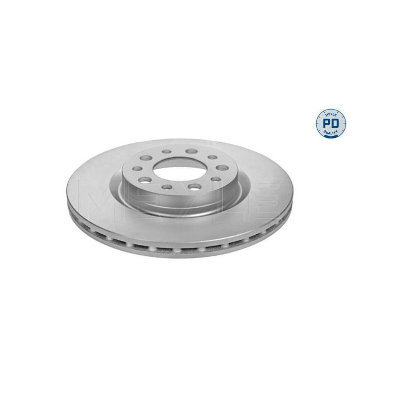 Disco freno asse posteriore - MEYLE