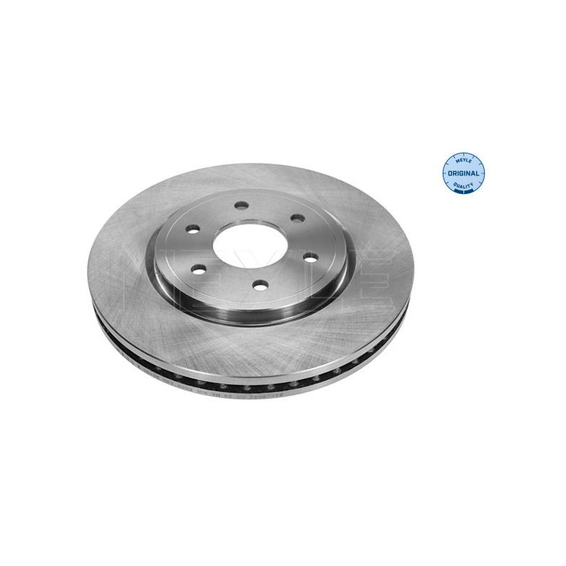 Disco freno asse anteriore - MEYLE