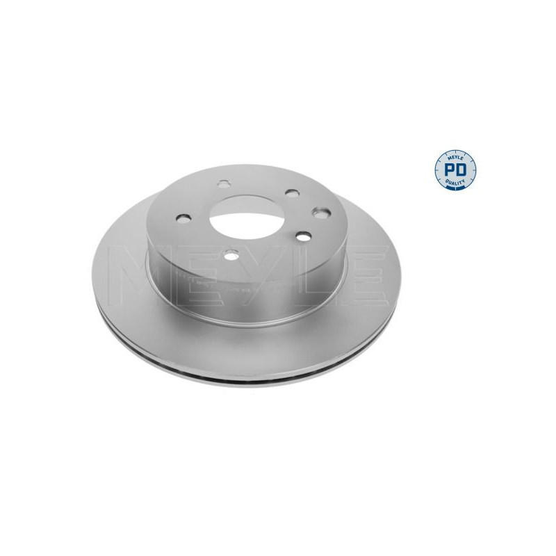 Disco freno asse posteriore - MEYLE