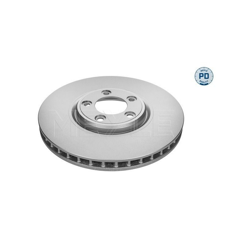 Disco freno asse anteriore - MEYLE