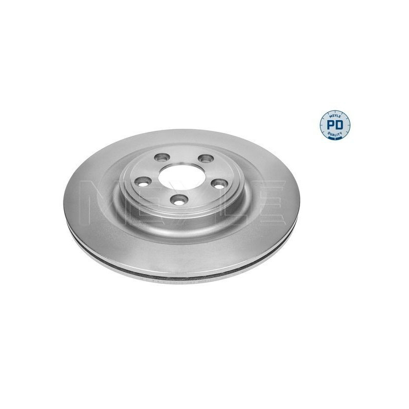 Disco freno asse posteriore - MEYLE