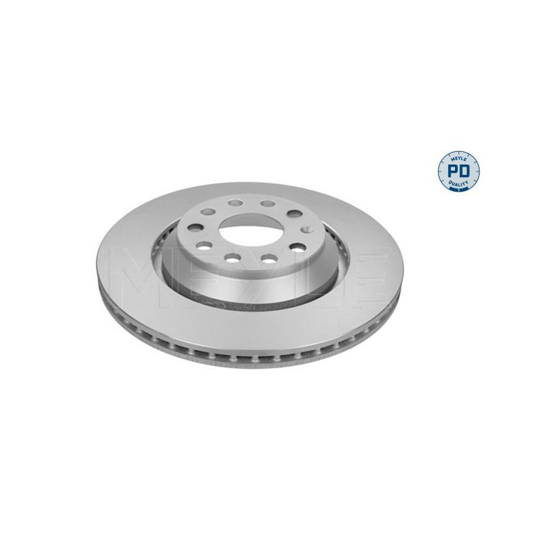 Disco freno asse posteriore - MEYLE