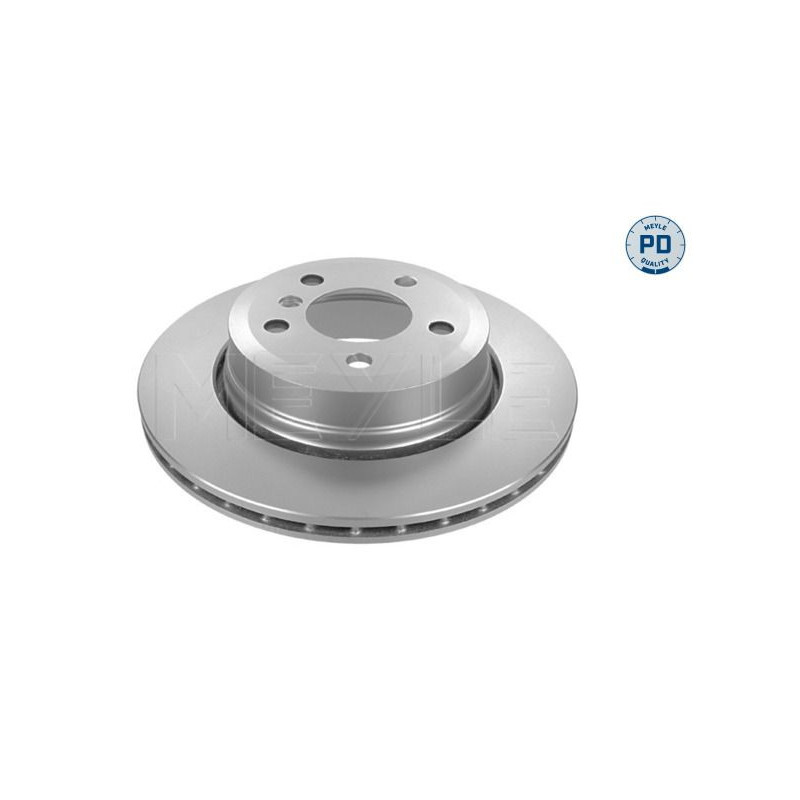 Disco freno asse posteriore - MEYLE