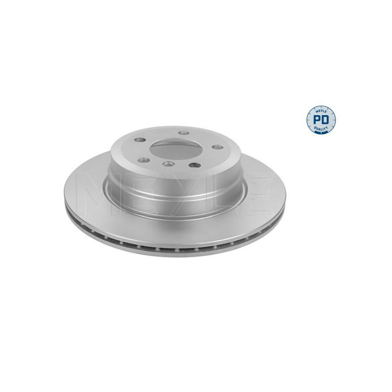 Disco freno asse posteriore - MEYLE